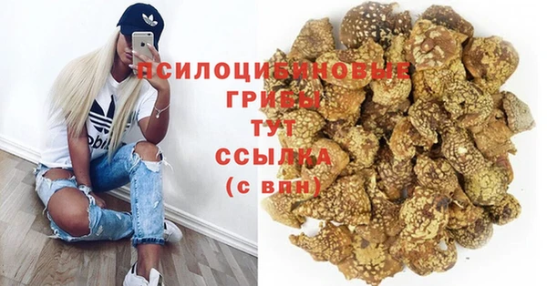 СК Балахна